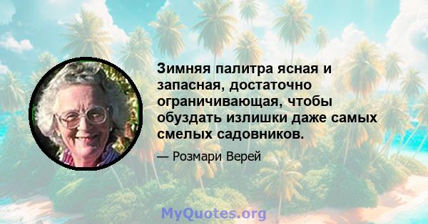 Зимняя палитра ясная и запасная, достаточно ограничивающая, чтобы обуздать излишки даже самых смелых садовников.