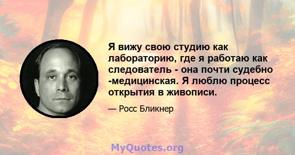 Я вижу свою студию как лабораторию, где я работаю как следователь - она ​​почти судебно -медицинская. Я люблю процесс открытия в живописи.