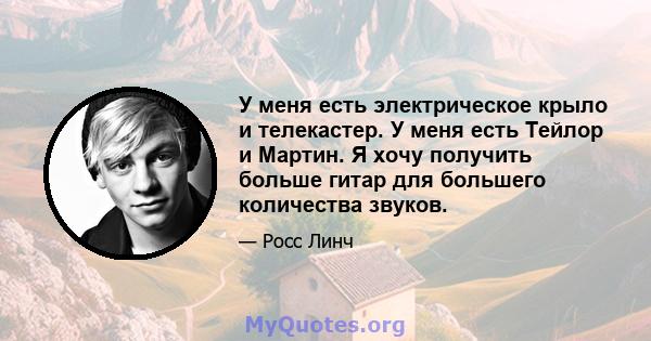 У меня есть электрическое крыло и телекастер. У меня есть Тейлор и Мартин. Я хочу получить больше гитар для большего количества звуков.