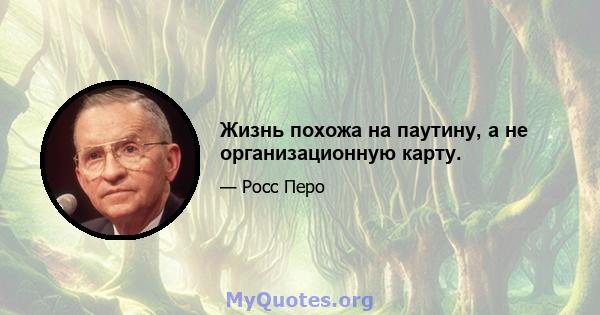 Жизнь похожа на паутину, а не организационную карту.