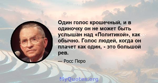 Один голос крошечный, и в одиночку он не может быть услышан над «Политикой», как обычно. Голос людей, когда он плачет как один, - это большой рев.