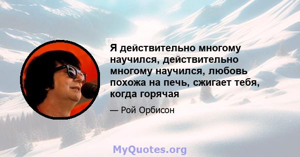 Я действительно многому научился, действительно многому научился, любовь похожа на печь, сжигает тебя, когда горячая