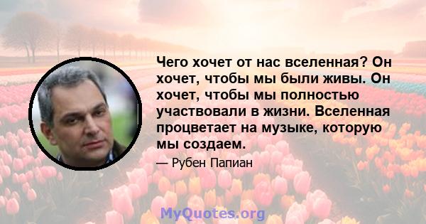 Чего хочет от нас вселенная? Он хочет, чтобы мы были живы. Он хочет, чтобы мы полностью участвовали в жизни. Вселенная процветает на музыке, которую мы создаем.