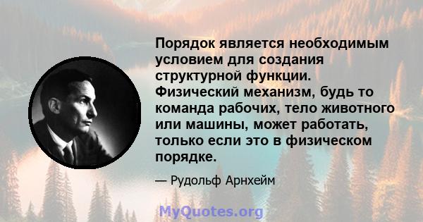 Порядок является необходимым условием для создания структурной функции. Физический механизм, будь то команда рабочих, тело животного или машины, может работать, только если это в физическом порядке.