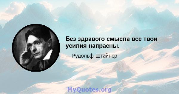 Без здравого смысла все твои усилия напрасны.