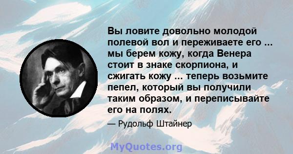 Вы ловите довольно молодой полевой вол и переживаете его ... мы берем кожу, когда Венера стоит в знаке скорпиона, и сжигать кожу ... теперь возьмите пепел, который вы получили таким образом, и переписывайте его на полях.