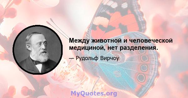 Между животной и человеческой медициной, нет разделения.