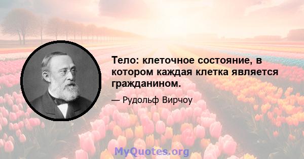 Тело: клеточное состояние, в котором каждая клетка является гражданином.