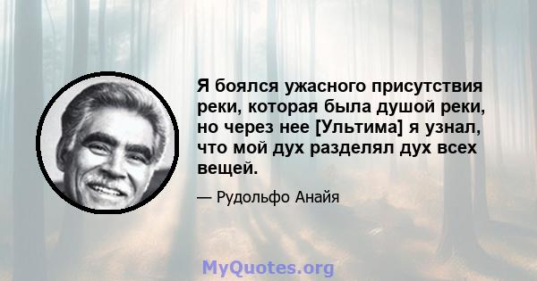 Я боялся ужасного присутствия реки, которая была душой реки, но через нее [Ультима] я узнал, что мой дух разделял дух всех вещей.