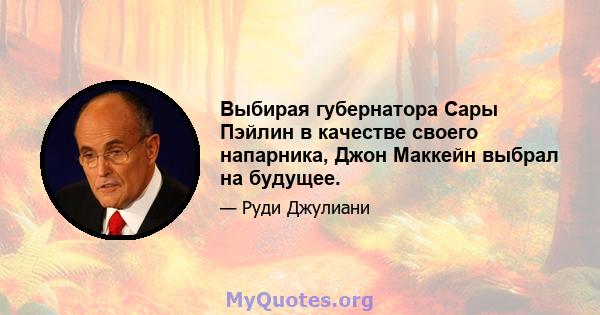 Выбирая губернатора Сары Пэйлин в качестве своего напарника, Джон Маккейн выбрал на будущее.