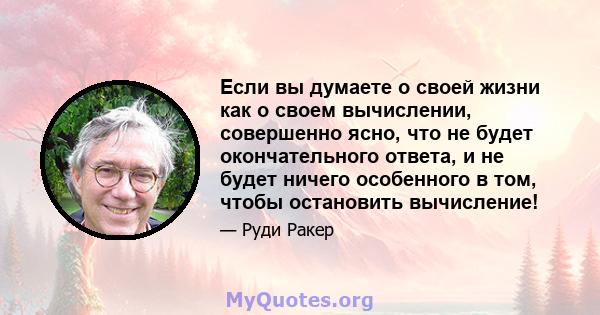 Если вы думаете о своей жизни как о своем вычислении, совершенно ясно, что не будет окончательного ответа, и не будет ничего особенного в том, чтобы остановить вычисление!