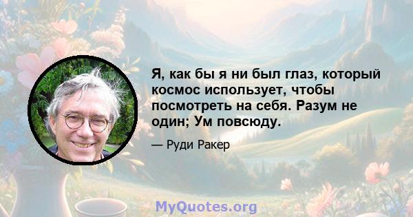 Я, как бы я ни был глаз, который космос использует, чтобы посмотреть на себя. Разум не один; Ум повсюду.