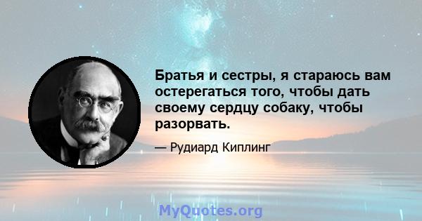 Братья и сестры, я стараюсь вам остерегаться того, чтобы дать своему сердцу собаку, чтобы разорвать.