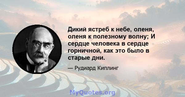 Дикий ястреб к небе, оленя, оленя к полезному волну; И сердце человека в сердце горничной, как это было в старые дни.