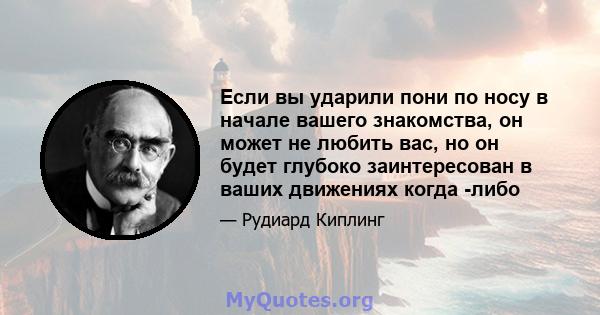 Если вы ударили пони по носу в начале вашего знакомства, он может не любить вас, но он будет глубоко заинтересован в ваших движениях когда -либо