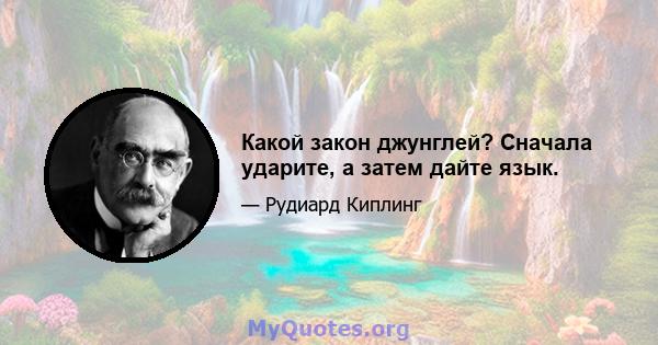 Какой закон джунглей? Сначала ударите, а затем дайте язык.