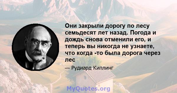 Они закрыли дорогу по лесу семьдесят лет назад. Погода и дождь снова отменили его, и теперь вы никогда не узнаете, что когда -то была дорога через лес