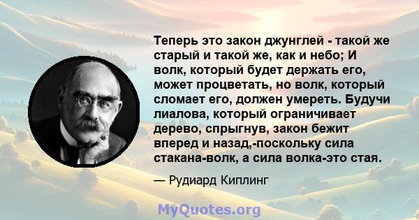 Теперь это закон джунглей - такой же старый и такой же, как и небо; И волк, который будет держать его, может процветать, но волк, который сломает его, должен умереть. Будучи лиалова, который ограничивает дерево,