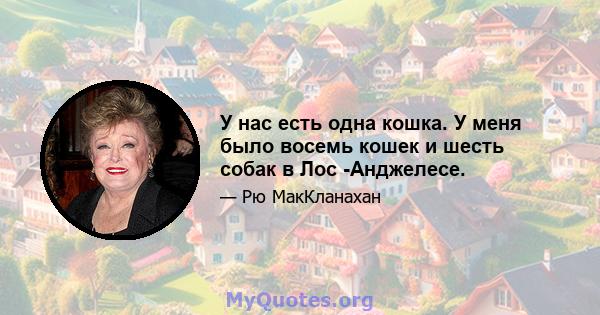 У нас есть одна кошка. У меня было восемь кошек и шесть собак в Лос -Анджелесе.