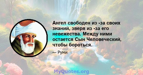 Ангел свободен из -за своих знаний, зверя из -за его невежества. Между ними остается Сын Человеческий, чтобы бороться.