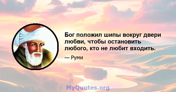 Бог положил шипы вокруг двери любви, чтобы остановить любого, кто не любит входить.