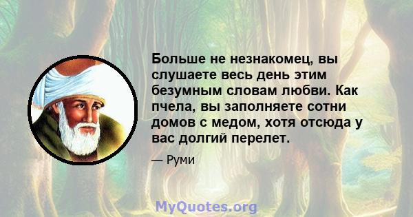 Больше не незнакомец, вы слушаете весь день этим безумным словам любви. Как пчела, вы заполняете сотни домов с медом, хотя отсюда у вас долгий перелет.