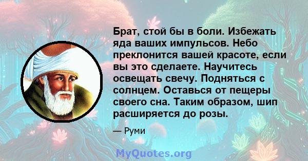 Брат, стой бы в боли. Избежать яда ваших импульсов. Небо преклонится вашей красоте, если вы это сделаете. Научитесь освещать свечу. Подняться с солнцем. Оставься от пещеры своего сна. Таким образом, шип расширяется до