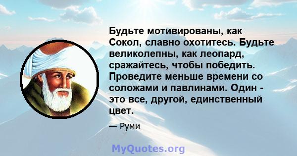 Будьте мотивированы, как Сокол, славно охотитесь. Будьте великолепны, как леопард, сражайтесь, чтобы победить. Проведите меньше времени со соложами и павлинами. Один - это все, другой, единственный цвет.