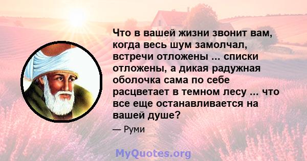 Что в вашей жизни звонит вам, когда весь шум замолчал, встречи отложены ... списки отложены, а дикая радужная оболочка сама по себе расцветает в темном лесу ... что все еще останавливается на вашей душе?