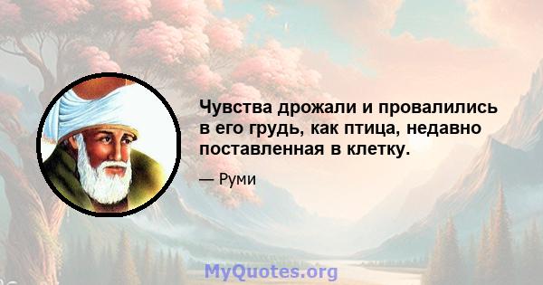 Чувства дрожали и провалились в его грудь, как птица, недавно поставленная в клетку.