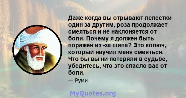 Даже когда вы отрывают лепестки один за другим, роза продолжает смеяться и не наклоняется от боли. Почему я должен быть поражен из -за шипа? Это колюч, который научил меня смеяться. Что бы вы ни потеряли в судьбе,