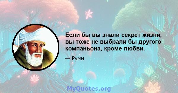 Если бы вы знали секрет жизни, вы тоже не выбрали бы другого компаньона, кроме любви.