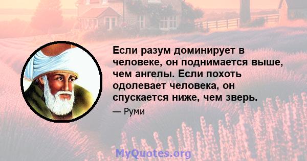 Если разум доминирует в человеке, он поднимается выше, чем ангелы. Если похоть одолевает человека, он спускается ниже, чем зверь.