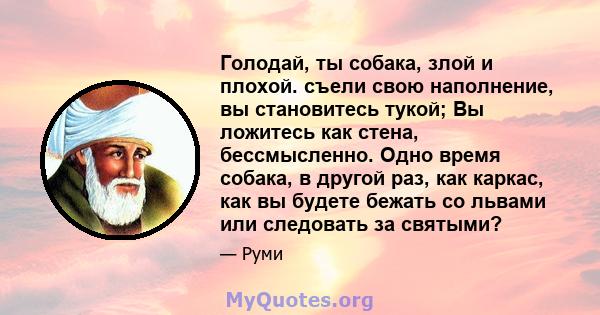 Голодай, ты собака, злой и плохой. съели свою наполнение, вы становитесь тукой; Вы ложитесь как стена, бессмысленно. Одно время собака, в другой раз, как каркас, как вы будете бежать со львами или следовать за святыми?