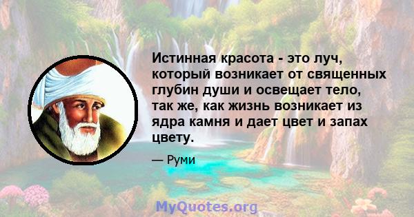 Истинная красота - это луч, который возникает от священных глубин души и освещает тело, так же, как жизнь возникает из ядра камня и дает цвет и запах цвету.