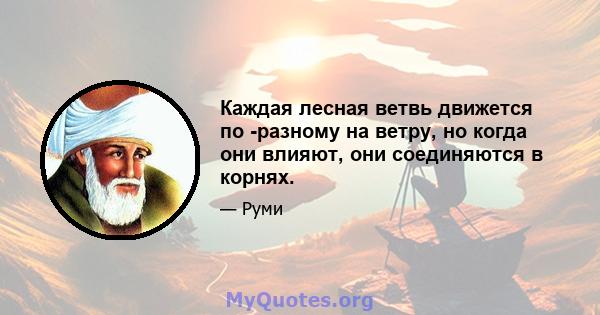 Каждая лесная ветвь движется по -разному на ветру, но когда они влияют, они соединяются в корнях.