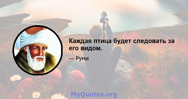 Каждая птица будет следовать за его видом.