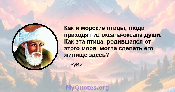 Как и морские птицы, люди приходят из океана-океана души. Как эта птица, родившаяся от этого моря, могла сделать его жилище здесь?