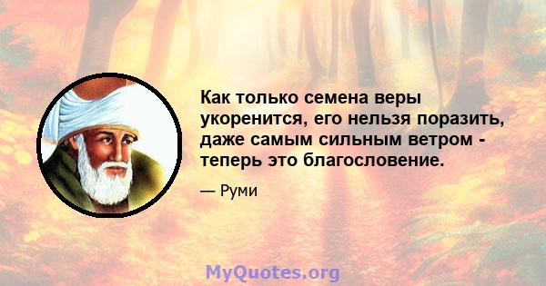 Как только семена веры укоренится, его нельзя поразить, даже самым сильным ветром - теперь это благословение.