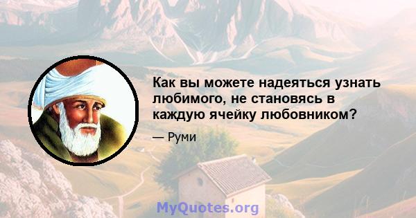 Как вы можете надеяться узнать любимого, не становясь в каждую ячейку любовником?