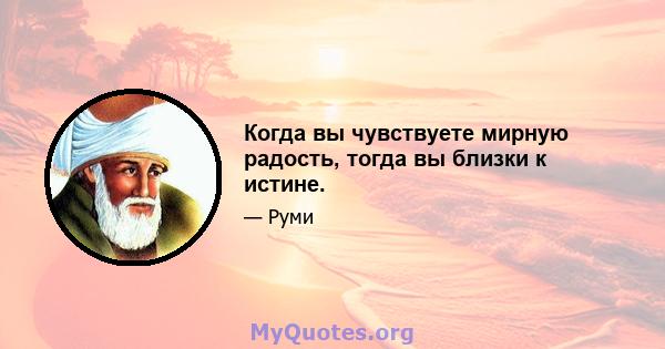 Когда вы чувствуете мирную радость, тогда вы близки к истине.