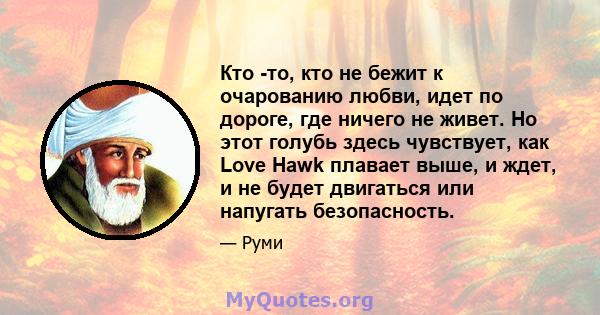 Кто -то, кто не бежит к очарованию любви, идет по дороге, где ничего не живет. Но этот голубь здесь чувствует, как Love Hawk плавает выше, и ждет, и не будет двигаться или напугать безопасность.