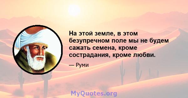 На этой земле, в этом безупречном поле мы не будем сажать семена, кроме сострадания, кроме любви.