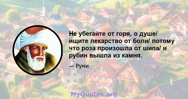 Не убегайте от горя, о душе/ ищите лекарство от боли/ потому что роза произошла от шипа/ и рубин вышла из камня.