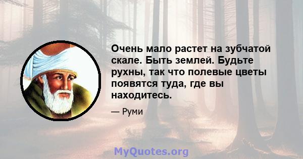 Очень мало растет на зубчатой ​​скале. Быть землей. Будьте рухны, так что полевые цветы появятся туда, где вы находитесь.