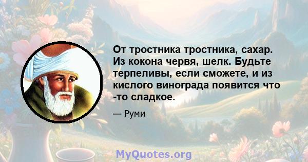 От тростника тростника, сахар. Из кокона червя, шелк. Будьте терпеливы, если сможете, и из кислого винограда появится что -то сладкое.