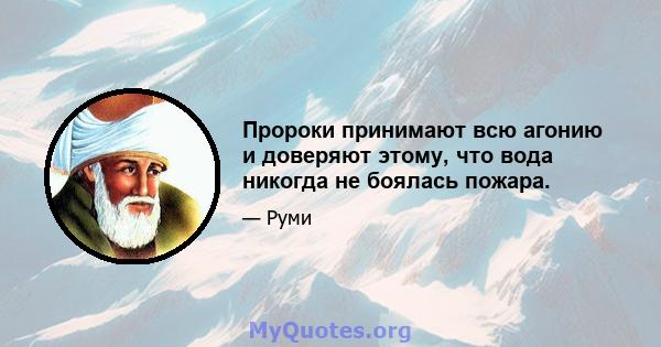 Пророки принимают всю агонию и доверяют этому, что вода никогда не боялась пожара.