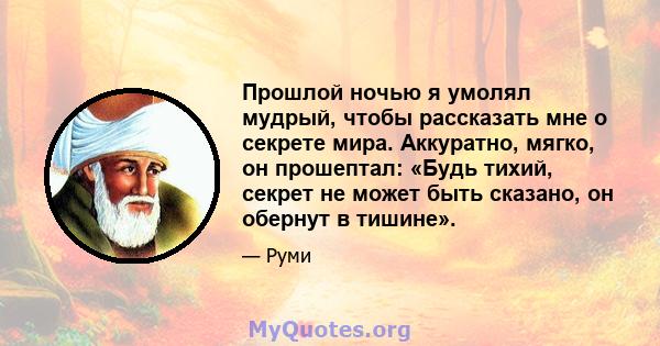 Прошлой ночью я умолял мудрый, чтобы рассказать мне о секрете мира. Аккуратно, мягко, он прошептал: «Будь тихий, секрет не может быть сказано, он обернут в тишине».