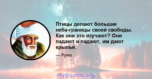 Птицы делают большие неба-границы своей свободы. Как они это изучают? Они падают и падают, им дают крылья.