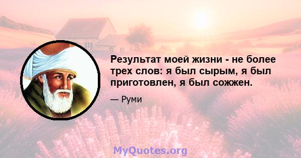 Результат моей жизни - не более трех слов: я был сырым, я был приготовлен, я был сожжен.